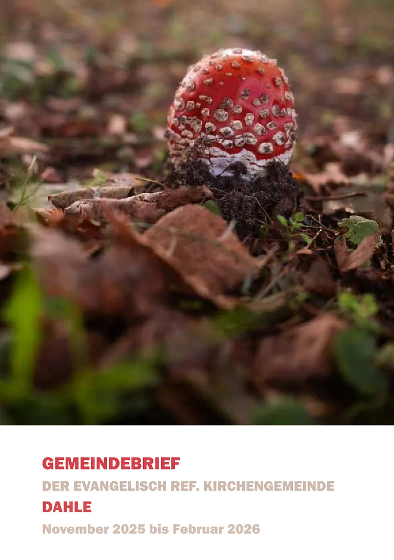 Einfach das Bild anklicken und der Gemeindebrief wird heruntergeladen...